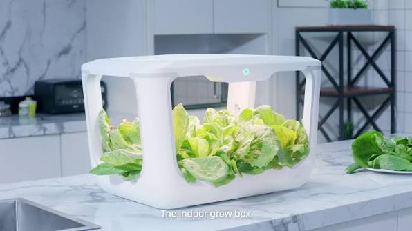 How Smart Garden Systems Change Day-to-Day Farm Work